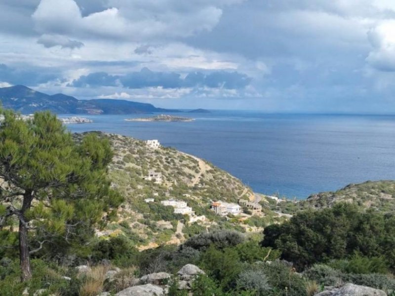 Vathi Kreta, Vathi: Großes Grundstück am Meer auf einem Hügel in prestigeträchtiger Lage zu verkaufen Grundstück kaufen